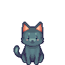 A smoky grey cat